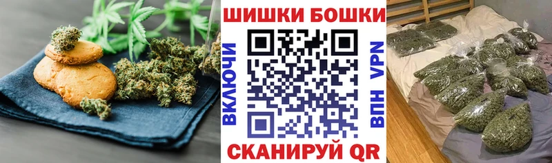 Купить где  Кызыл  Canna-Cookies конопля 