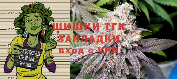 сатива Алзамай