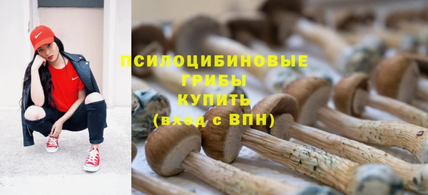 прущий лед Алексеевка