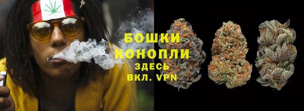 бошки Алексин