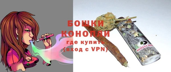 бошки Алексин