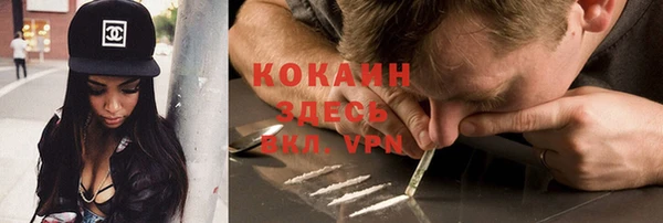 бошки Алексин