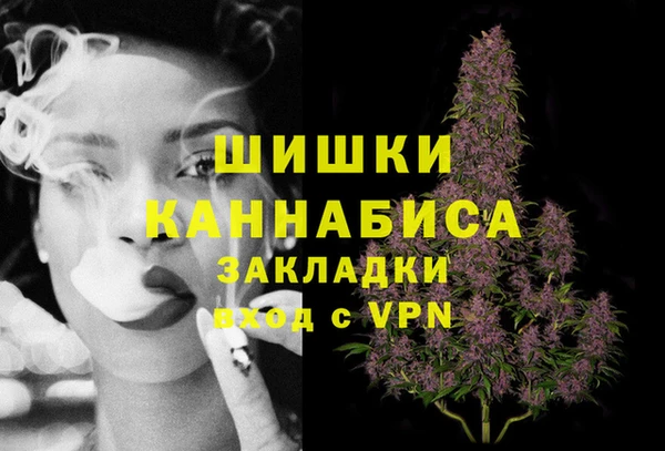 бошки Алексин