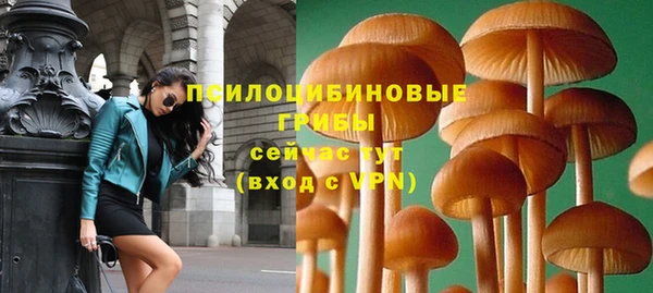 бошки Алексин